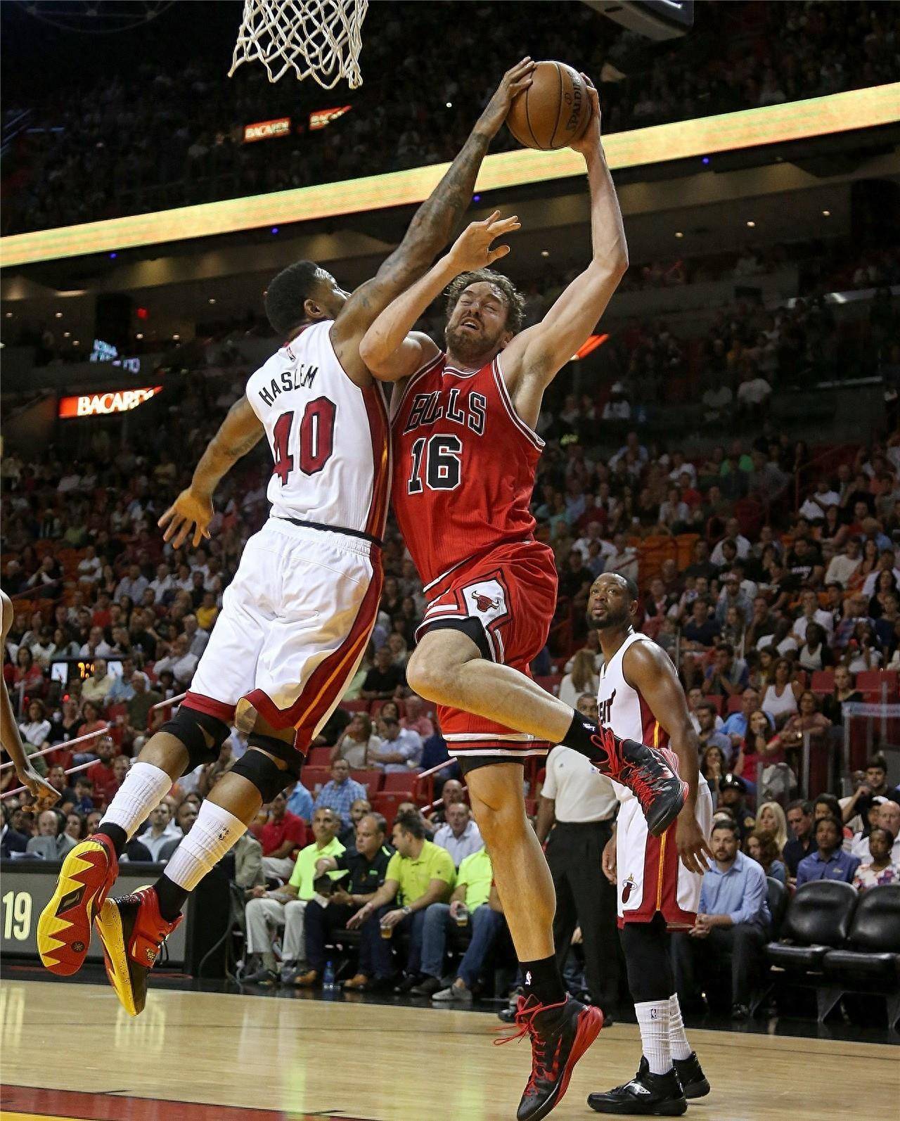 球迷的搜索 球迷的搜索