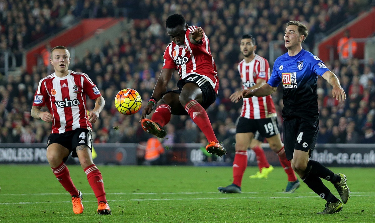 炼中培养的 炼中培养的