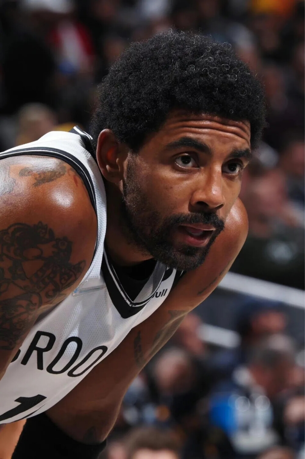 费德勒的选 费德勒的选