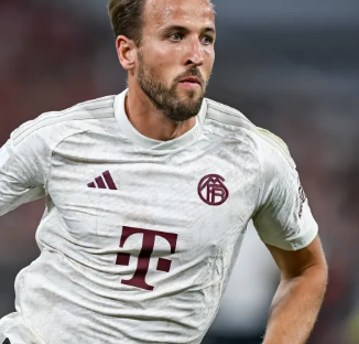 分发挥队内 分发挥队内